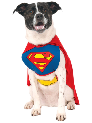 Comprar Disfraz de Superman Mascota - Disfraces de Superman