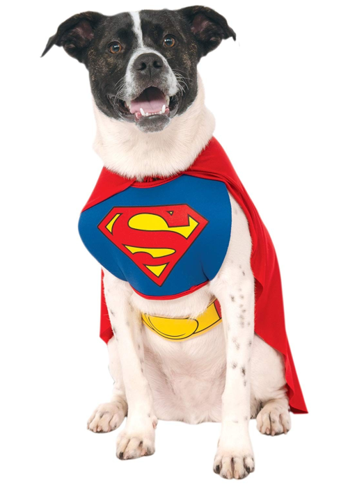 Disfraz de Superman Mascota - Disfraces de Superman