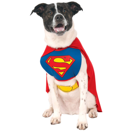 Mozorro Superman Maskota