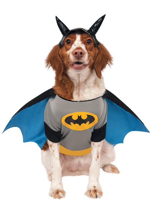 Batman mozorroa Maskota
