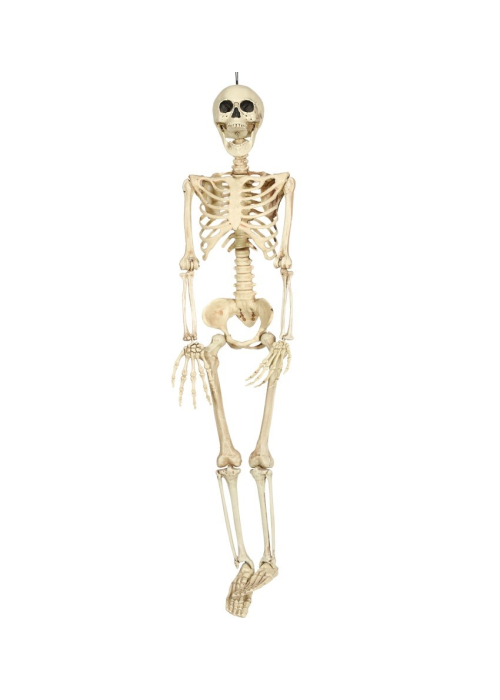 Esqueleto de 90cms - Calaveras y Esqueletos