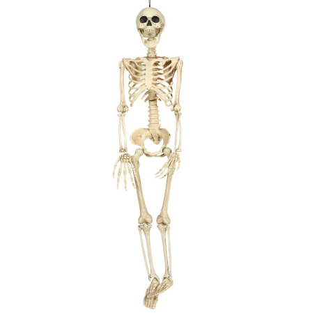 Esquelet de 90 cm