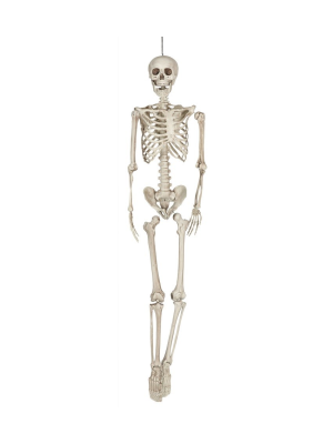 Esquelet de 160 cm