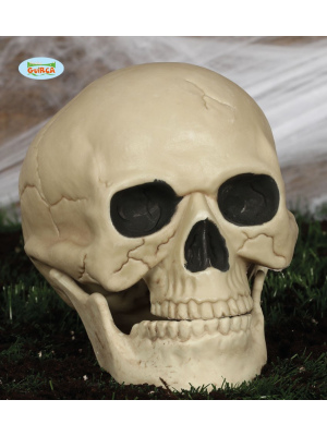 Calavera 20CM - Calaveras y Esqueletos