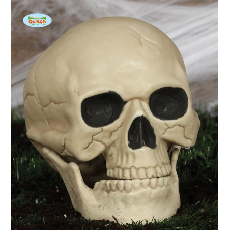 Calavera 20CM - Calaveras y Esqueletos