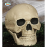 Calavera 20CM - Calaveras y Esqueletos