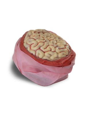 Sold with Brain