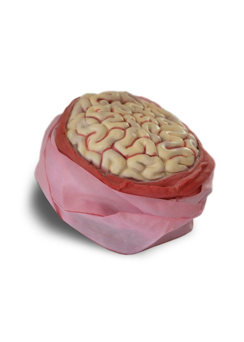 Venen amb Cervell