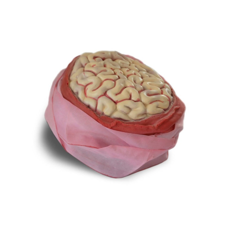 Venda con Cerebro - COMPLEMENTOS POR CATEGORIA