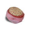 Venen amb Cervell