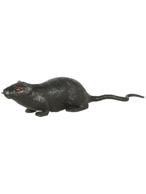 Rata de 13 cms - Animales y Bichos