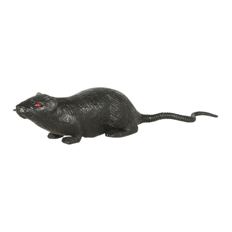 Rata de 13 cms - Animales y Bichos