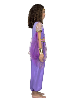 Disfraz de Princesa Arabe Morada Infantil - Disfraces para Niña