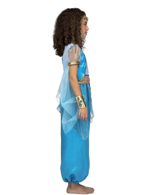 Traxe Da Princesa Árabe Vermello Neno