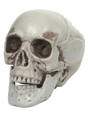 Calavera 10x9x8cm - Calaveras y Esqueletos