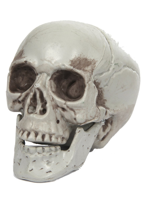 Calavera 10x9x8cm - Calaveras y Esqueletos