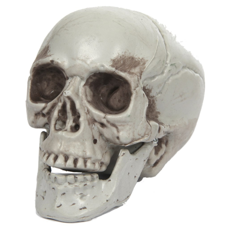Calavera 10x9x8cm - Calaveras y Esqueletos