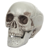 Calavera 10x9x8cm - Calaveras y Esqueletos