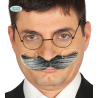 Bigoti Gris De Pèl Arrissat