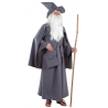 Disfraz de Mago Gris - Disfraces de Estudiante de Magia para Adulto