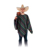 Disfraz de Poncho Mejicano - Disfraces Mexicanos