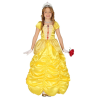 Vestit Groc Princesa Nen