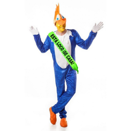 Vestit Pajaro Loco Banda - Comiats de solter / a