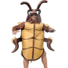 Mozorro bat Arkakuso