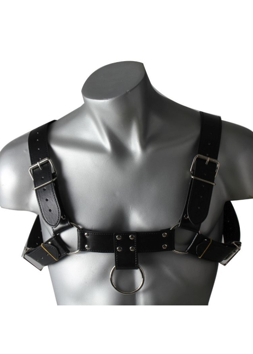 Arnes Masculino - Complementos despedidas