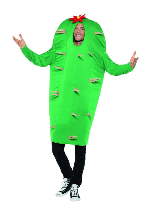 Mozorroa Cactus
