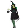 Disfraz de Bruja Verde Picos - Disfraces Halloween Mujer