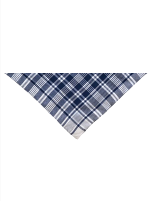 Pañuelo Hierbas Bebe Triangular - Trajes Vascos Bebe