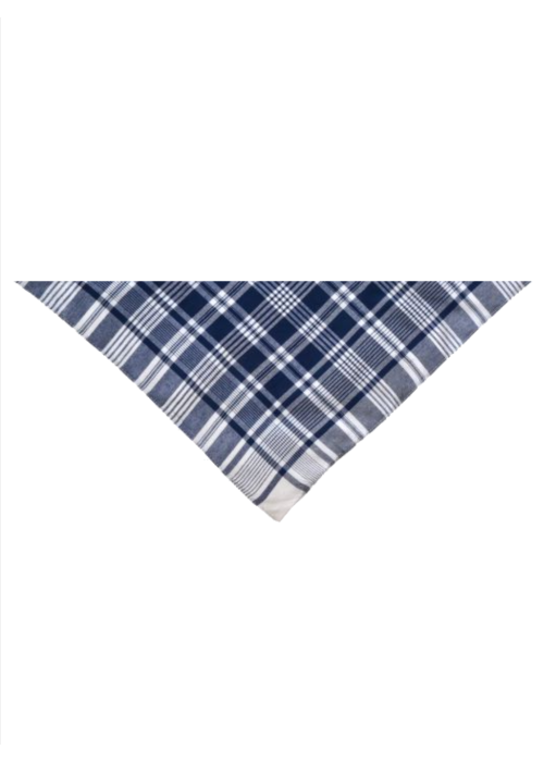 Pañuelo Hierbas Bebe Triangular - Trajes Vascos Bebe