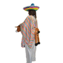 Comprar Disfraz de La Pendejita - Disfraces Mexicanos