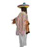 Disfraz de La Pendejita - Disfraces Mexicanos