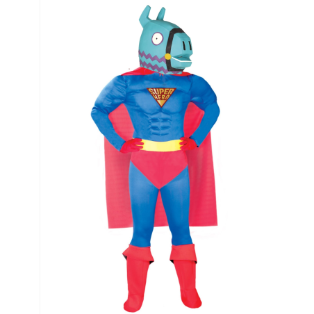 Vestit Super Anomenat Gamer - Vestits de Jocs de vídeo
