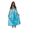 Vestit de Princesa de Frosty