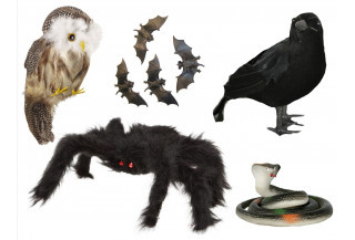 animales y bichos