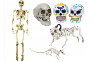 calaveras y esqueletos