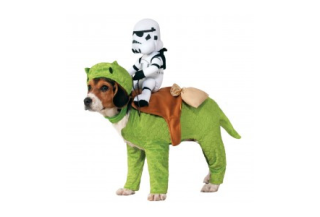 DISFRACES PARA PERROS