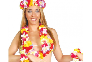 Complementos de Hawaianos