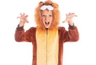 Disfraces de Animales para Niños