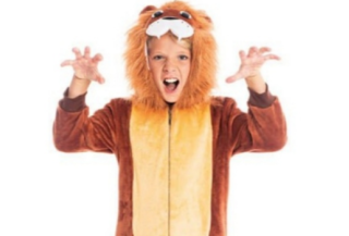 Disfraces de Animales para Niños