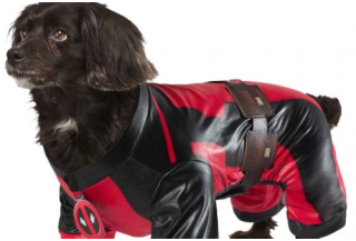 Disfraces de Deadpool para Perros