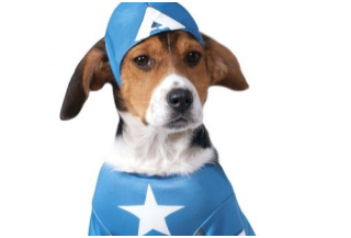 Disfraces de Capitan America para Perros