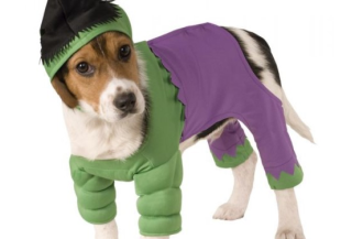 Disfraces de Hulk para Perros