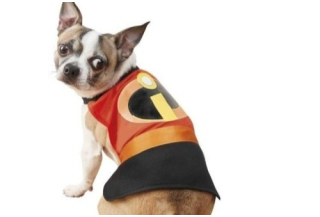 Disfraces de Los Increibles para Perros