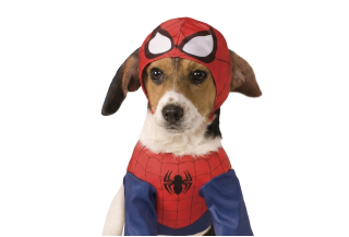 Disfraces de Spiderman para Perros