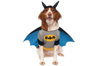 Comprar el vestit de Batman - el Vestit Jaiak