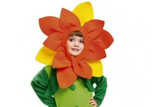 Disfraces de Flores Frutas y Verduras Infantiles Disfraces de Flores Frutas y Verduras Infantiles